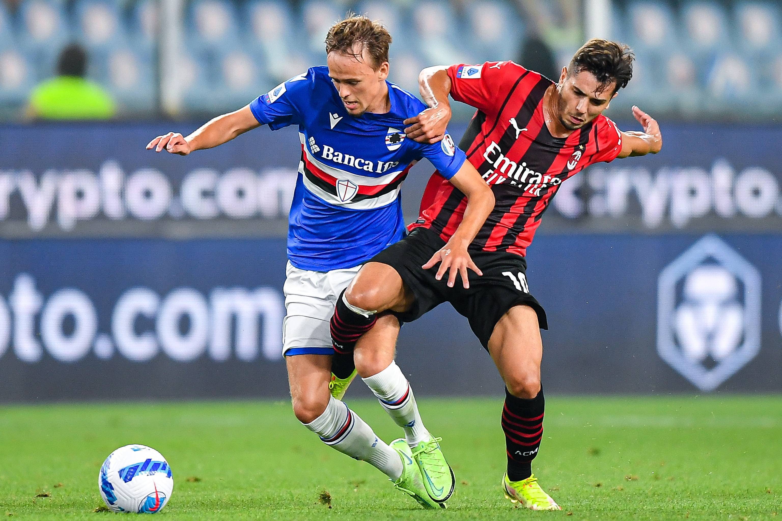 一经发布 一经发布