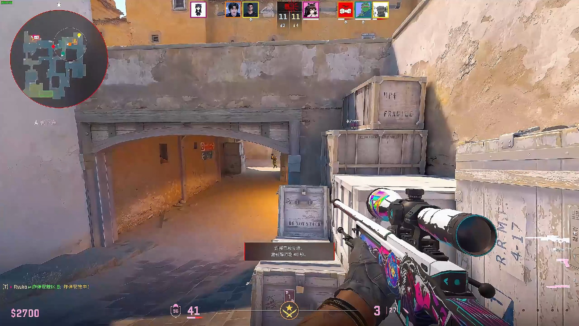 阿根廷的博 阿根廷的博